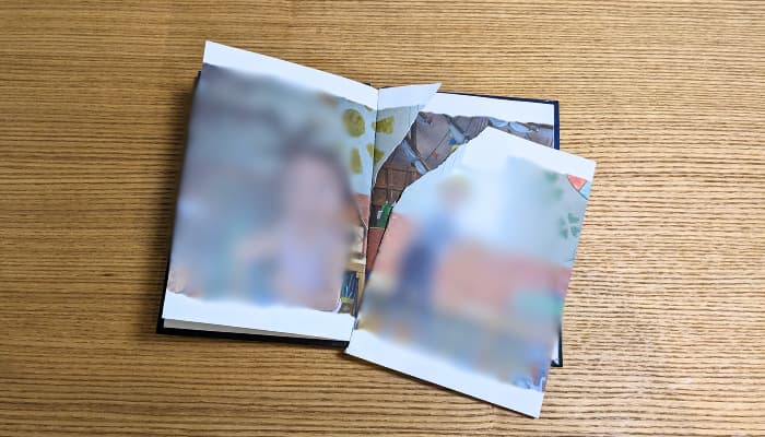 ビリビリに破れた絵本の写真