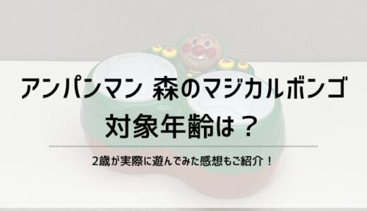 アンパンマンのおもちゃ森のマジカルボンゴの対象年齢は？【レビュー】